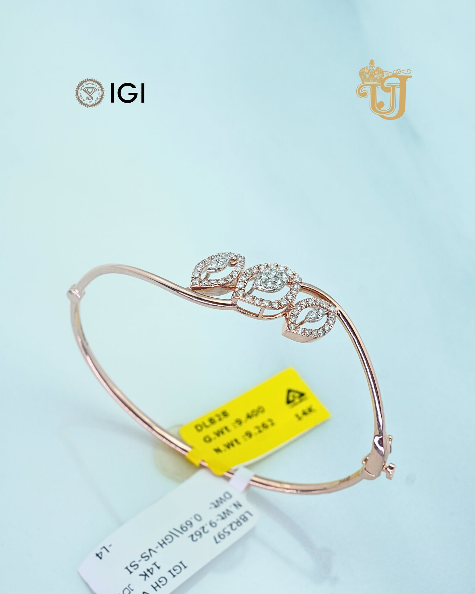 BRACELET (0.69)