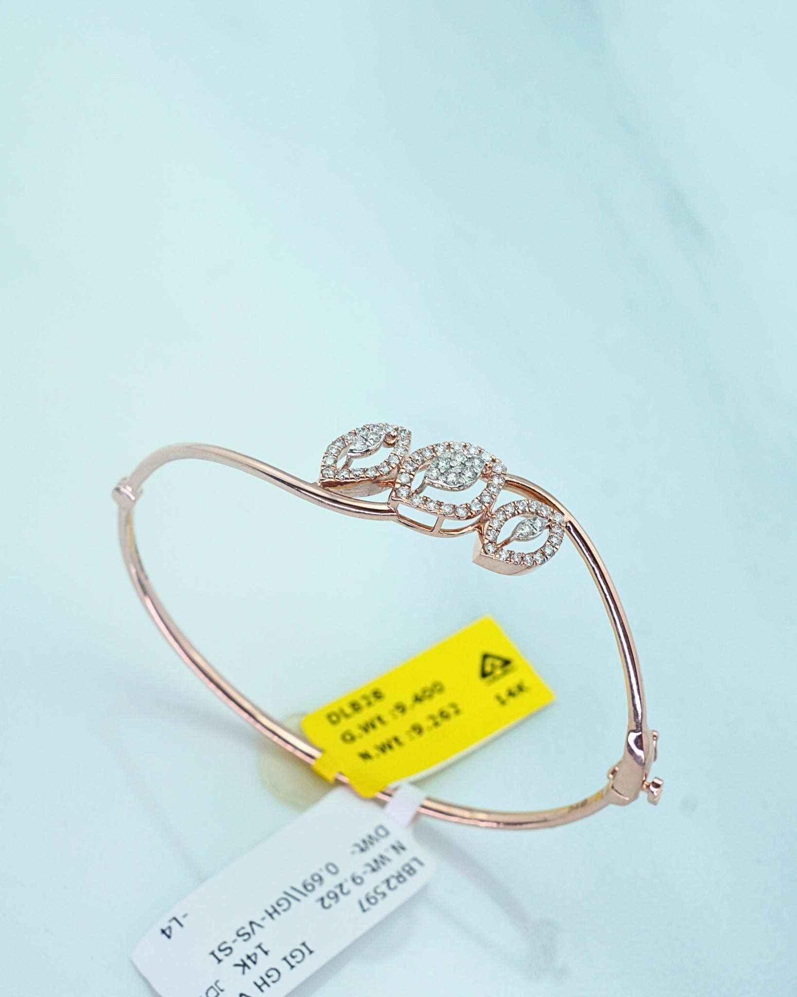 BRACELET (0.69)